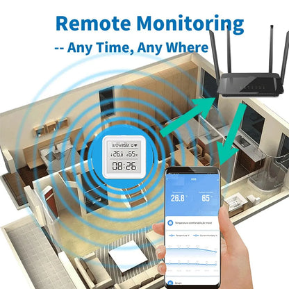 WIFI Smart Temperature Humidity Sensor